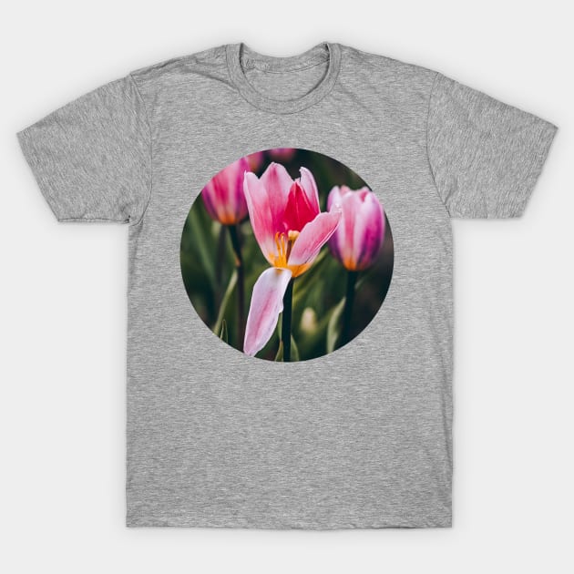 Tulip Petal Opening Photograph T-Shirt by love-fi